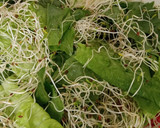 Foto del paso 3 de la receta: Ensalada fresca y agridulce