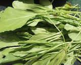 પાલક નો જ્યૂસ (Palak Juice Recipe In Gujarati) રેસીપી સ્ટેપ1ફોટો
