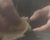A picture of step 3 of Chinese Samosa.