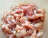 Vickys Asian Inspired Chicken Strips, GF DF EF SF NF recipe step 2 photo