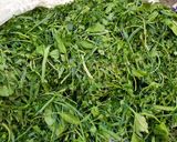 عکس مرحله 1 از دستور تعداد و میزان سبزی قرمه