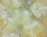 A picture of step 6 of Fried Juicy Karaage with Chicken Breasts.