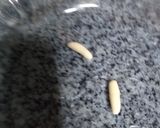 Foto del paso 6 de la receta: Palitos salados.👩🏼‍🍳🍻🤩