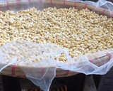 Foto langkah ke 5 dari resep Tempe homemade.