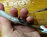 Foto del paso 13 de la receta: Técnicas de cocina: Limpiar el pescado