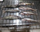鹽烤苦花魚佐苦花酒的食譜步驟1照片