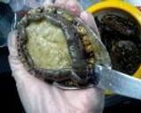 A picture of step 2 of Easy Abalone Cooked In Butter.