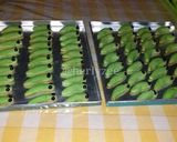Foto langkah ke 3 dari resep Caterpillar Cookies.