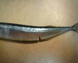 A picture of step 2 of How to Clean Pacific Saury.
