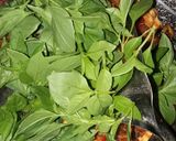 Foto langkah ke 4 dari resep Nasi Bakar Ayam Kemangi.