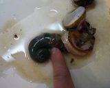 A picture of step 7 of Fresh Turban Shell Sashimi.