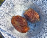 Húsvéti sonka bográcsban recept fázis 2 fotója