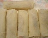 A picture of step 3 of Fried Spring Rolls.