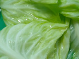 Cabbage Roll