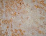 Foto del paso 8 de la receta Pastel de calabaza