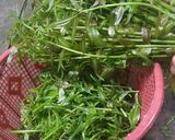 Foto langkah ke 1 dari resep Tumis Daun Pakis.