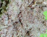 Foto langkah ke 2 dari resep *Burger Patty Homemade*.