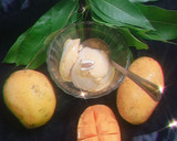 मैंगो आइसक्रीम (Mango Icecream recipe in hindi) रेसिपी चरण 7 फोटो