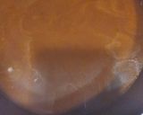 Foto del paso 9 de la receta: Boeuf bourguignon (carne estofada)
