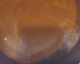 Foto del paso 9 de la receta: Boeuf bourguignon (carne estofada)