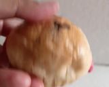 Foto langkah ke 14 dari resep Roti Mini Kental Manis.
