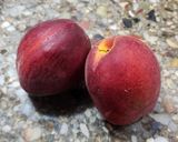 Foto del paso 4 de la receta: 🍑🫙 Chía pudding con duraznos tibios a la canela 🫙🍑 Sin endulzantes añadidos