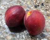 Foto del paso 4 de la receta: 🍑🫙 Chía pudding con duraznos tibios a la canela 🫙🍑 Sin endulzantes añadidos