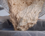 Foto del paso 5 de la receta: Pan rápido sin levadura