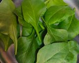 A picture of step 1 of Palak Pakora.
