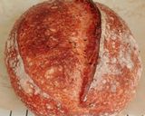 Foto langkah ke 20 dari resep Angkak Jinten Hitam Wijen Sourdough Bread (Kabuki Gold).