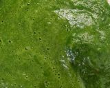 पालक पूड़ी(Palak ki puri recipe in Hindi) रेसिपी चरण 1 फोटो