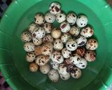 Foto langkah ke 1 dari resep Telur Puyuh Kecap/ Sate Telur Puyuh.