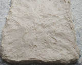 Foto del paso 9 de la receta: Pan para bocatas