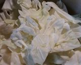 A picture of step 1 of Kimchi Batch 2.