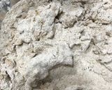 Foto del paso 1 de la receta: Palitos salados integrales