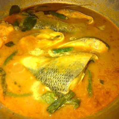 Langkah 8