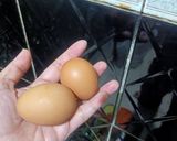 Foto langkah ke 2 dari resep Bihun goreng simple manis ala2 bubu.