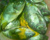 Foto langkah ke 1 dari resep Goreng ikan mujair garing😊.