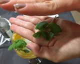 Foto do passo 2 de Gin com laranja e hortelã