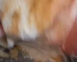 Foto del paso 2 de la receta: Pasta flora de harina leudante😊😊