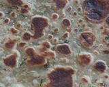 A picture of step 7 of Ricechapati#flourchallenge.