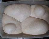 Foto del paso 4 de la receta: Pizzas fermentadas tipo masamadre en panificadora atma