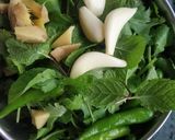 গ্রীন চাটনি (green chutney recipe in Bengali) রেসিপির ধাপ 2 ছবি