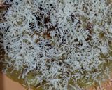 Foto langkah ke 6 dari resep Banana Pizza Teflon.