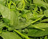 Hình bước làm 1 của món Canh mồng tơi nấm nấu tôm thịt