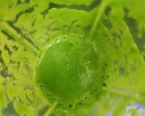 A picture of step 2 of Spinach and green peas Pulao.