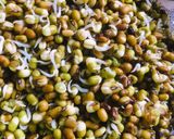 A picture of step 1 of Sprouted moongdhal murungai keerai kadaiyal.