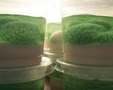 Foto langkah ke 8 dari resep Pudding lumut pandan.