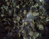 Foto langkah ke 6 dari resep Ebi Furai with Mushroom Sauce.