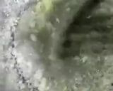 A picture of step 2 of Mustard leaves in Garlic sauce.